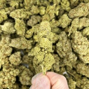 London Pound Cake CBD Flower Indoor