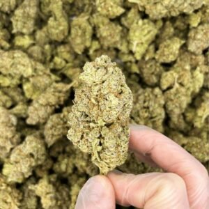 Mimosa CBD Flower Indoor 24%