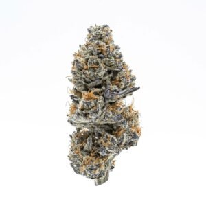 Sunset Sherbet HHC Flower Indoor