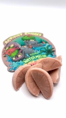 Watermelon Wowza Delta 9 THC Gummies 500mg